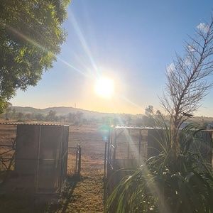 Meet your Posher, Jaimee